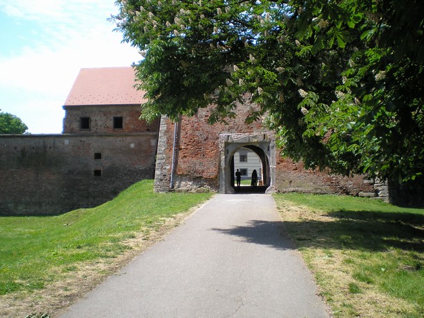 p5070207