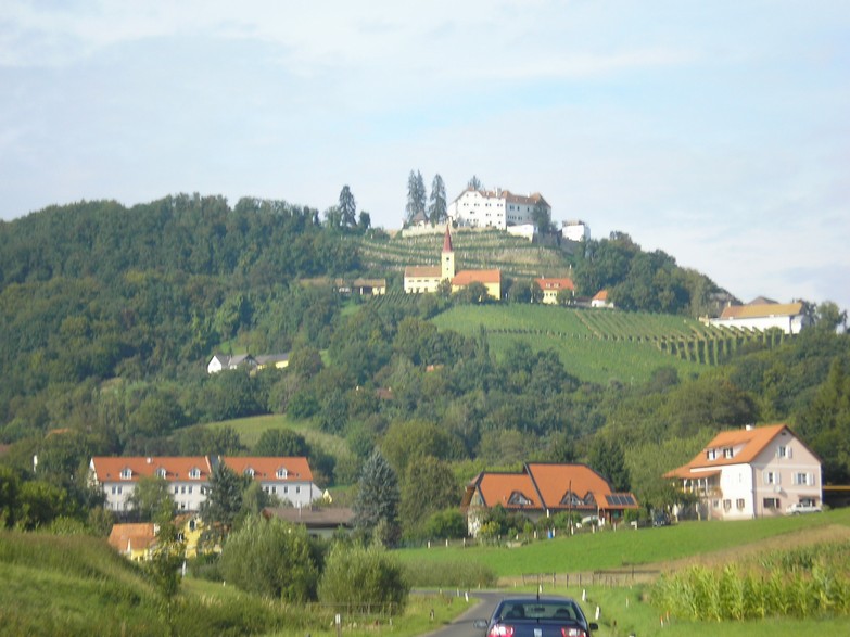 p9030455
