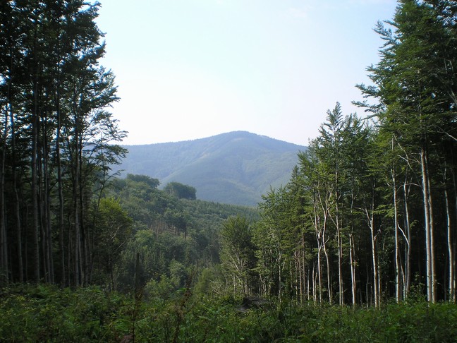 p7220012