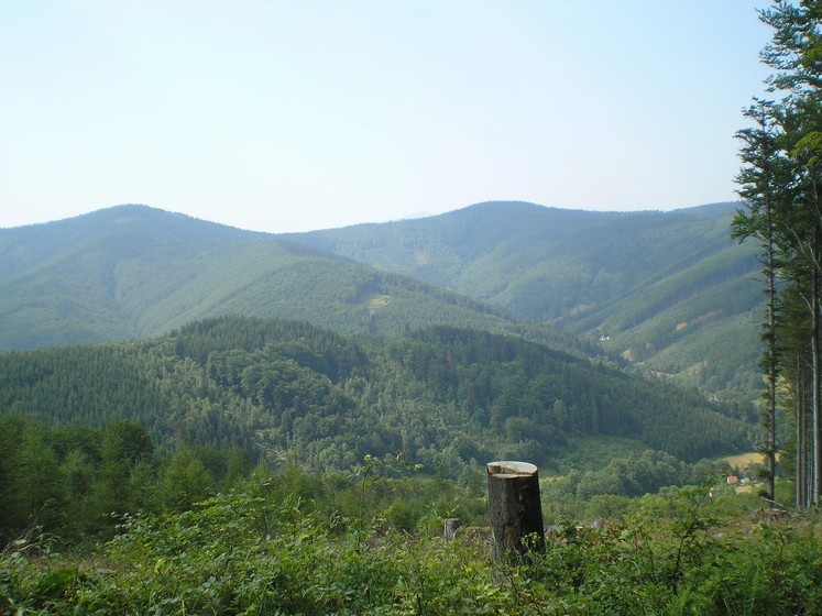 p7220013
