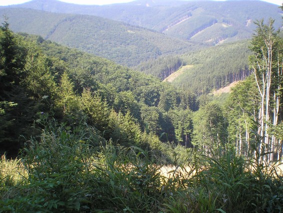 p7230050